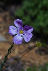 DSC05273.jpg DSC05273.jpg