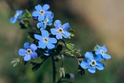 DSC05289.jpg DSC05289.jpg