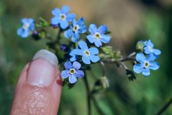 DSC05301.jpg DSC05301.jpg