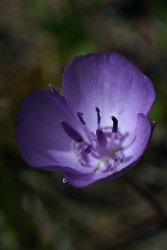 DSC05464.jpg DSC05464.jpg