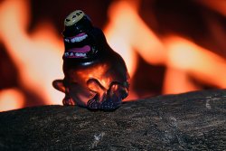 DSC05586.jpg DSC05586.jpg