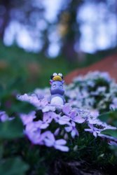 DSC05630.jpg DSC05630.jpg