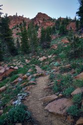 DSC05656.jpg DSC05656.jpg