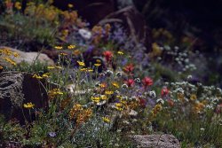 DSC05714.jpg DSC05714.jpg