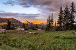 Salamander Camp 7-20200297-proc-sm.jpg Salamander Camp 7-20200297-proc-sm.jpg