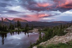 Salamander Camp 7-20200358-proc-sh-sm.jpg Salamander Camp 7-20200358-proc-sh-sm.jpg