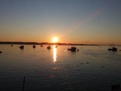 9195ED43-0183-4361-9D05-CDE0F08D2260.jpeg 9195ED43-0183-4361-9D05-CDE0F08D2260.jpeg