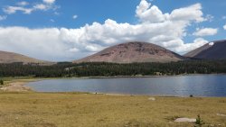 20200727_135129 Fox Lake.jpg