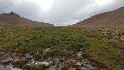 20200728_121812 Anderson Pass Spring.jpg