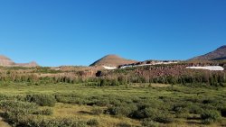 20200729_072928 Mt. Powell.jpg