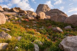 Cirque Lollipop 8-20200358-sh-sm.jpg Cirque Lollipop 8-20200358-sh-sm.jpg