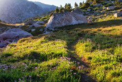 Cirque Lollipop 8-20200861-sh-sm-rec.jpg