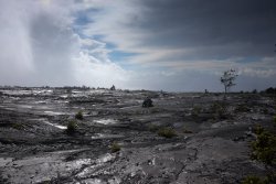 Hawaii2020 (3 of 64)-1.jpg