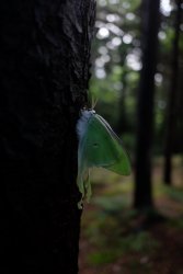 Hawaii2020 (64 of 99)-10.jpg