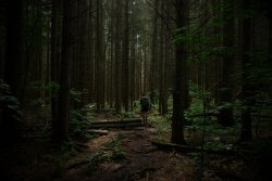 Hawaii2020 (98 of 99)-12.jpg