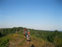 11214189_10207532059609254_8582340813696523614_n.jpg 11214189_10207532059609254_8582340813696523614_n.jpg