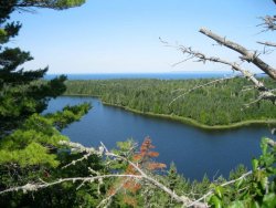 11828575_10207532048768983_47855819607696360_n.jpg 11828575_10207532048768983_47855819607696360_n.jpg