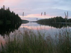 11051782_10207532046528927_8646761715568892424_n.jpg 11051782_10207532046528927_8646761715568892424_n.jpg