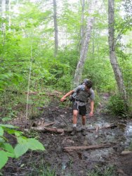 11800201_10207532044448875_7346381966468503242_n.jpg 11800201_10207532044448875_7346381966468503242_n.jpg