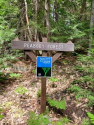 20200731_150722.jpg 20200731_150722.jpg