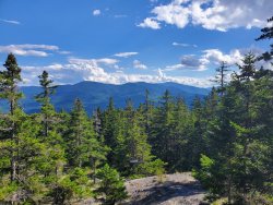 20200731_163348.jpg 20200731_163348.jpg