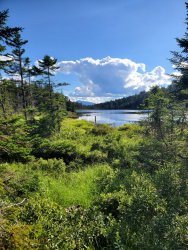 20200731_171216.jpg 20200731_171216.jpg