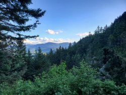 20200731_184122.jpg 20200731_184122.jpg