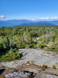 20200801_084438.jpg 20200801_084438.jpg