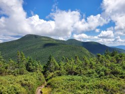 20200801_111002.jpg 20200801_111002.jpg