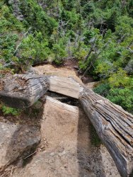 20200801_115907.jpg 20200801_115907.jpg