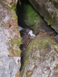 20200801_153100.jpg 20200801_153100.jpg