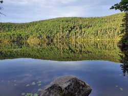 20200802_065732.jpg 20200802_065732.jpg