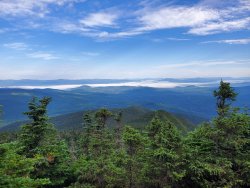 20200802_074854.jpg 20200802_074854.jpg