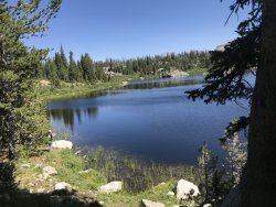 F5673AC5-146D-46D7-9599-97260083A2CF.jpeg F5673AC5-146D-46D7-9599-97260083A2CF.jpeg