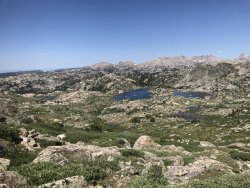 428FF0B9-E089-42B3-A227-D563BBC5684A.jpeg 428FF0B9-E089-42B3-A227-D563BBC5684A.jpeg