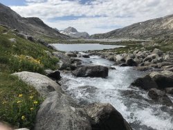 8A423003-0257-4989-8AEC-DC7A9E2559C6.jpeg 8A423003-0257-4989-8AEC-DC7A9E2559C6.jpeg