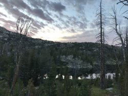 75AF4358-83B9-43B4-9ABA-5A33B3BBC4B7.jpeg 75AF4358-83B9-43B4-9ABA-5A33B3BBC4B7.jpeg