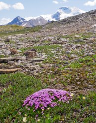 _1200428-copy-2.jpg _1200428-copy-2.jpg