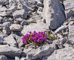 _1200443-copy-2.jpg _1200443-copy-2.jpg