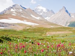 _1200513-copy-2.jpg _1200513-copy-2.jpg