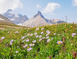 _1200546-copy-2.jpg _1200546-copy-2.jpg