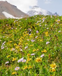 _1200541-copy-2.jpg _1200541-copy-2.jpg