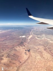 03_HcrkN, PoeCyn, HappyDog, WPF, CRNP.jpeg