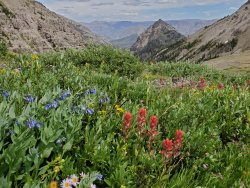 20200813_145959.jpg 20200813_145959.jpg