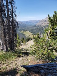 20200817_114335.jpg 20200817_114335.jpg