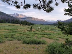 20200817_194834.jpg 20200817_194834.jpg