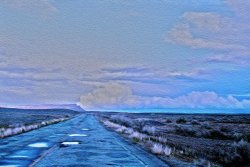 riding in trucks with dogs.jpg