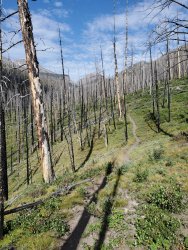 20200813_095333.jpg 20200813_095333.jpg