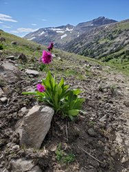 20200813_160701.jpg 20200813_160701.jpg