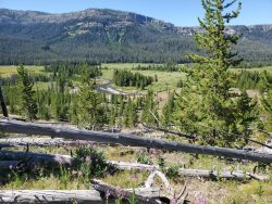 20200815_113819.jpg 20200815_113819.jpg